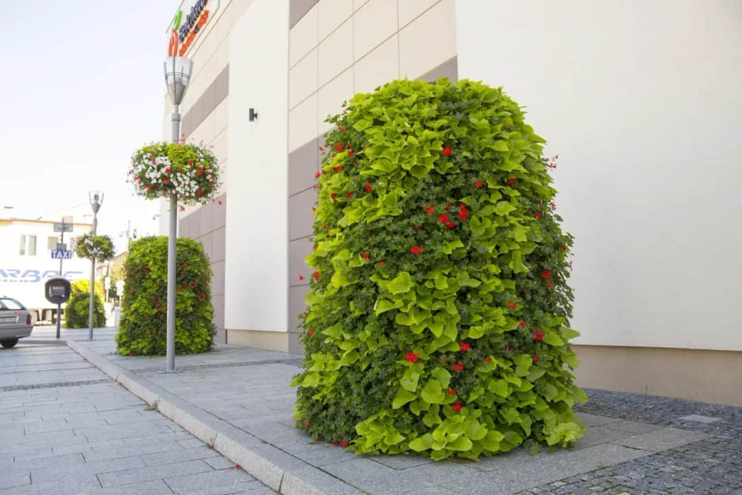 Jak zrobić kwietnik kaskadowy - krok po kroku z materiałami i wskazówkami