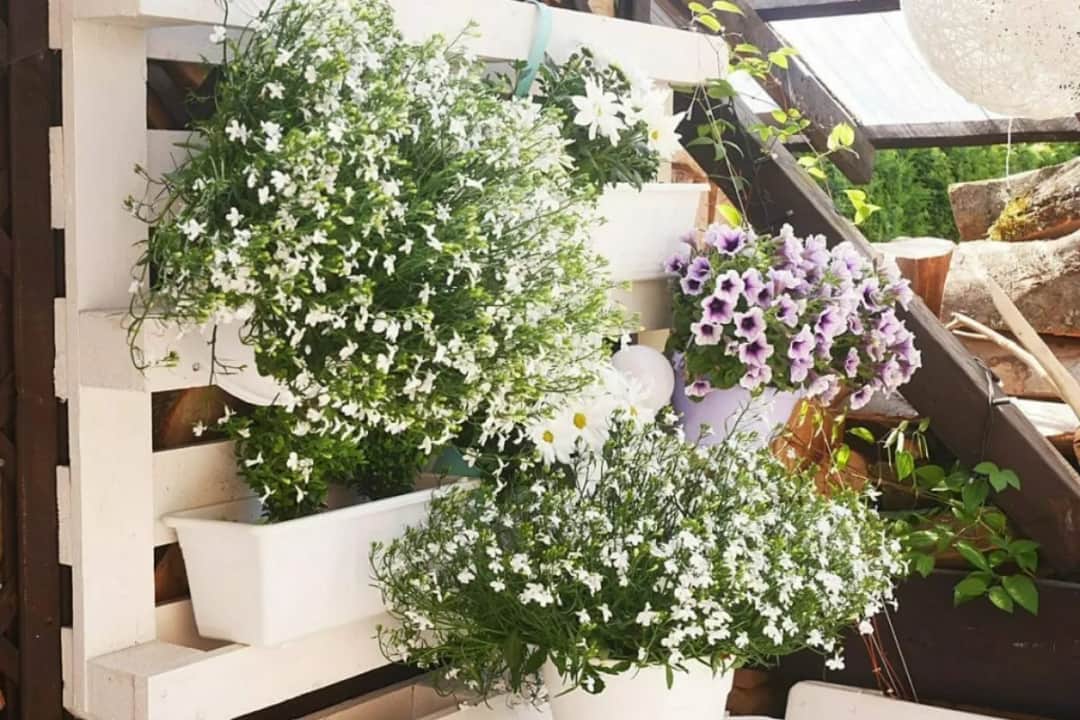 Jakie kwiaty do kwietnika z palet - najlepsze rośliny na balkon