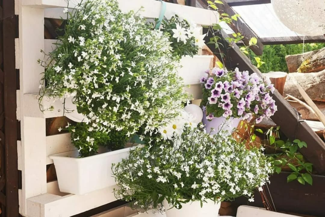 Jakie kwiaty do kwietnika z palet - najlepsze rośliny na balkon