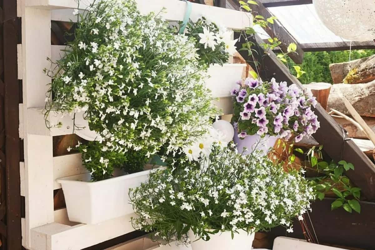 Jakie kwiaty do kwietnika z palet - najlepsze rośliny na balkon