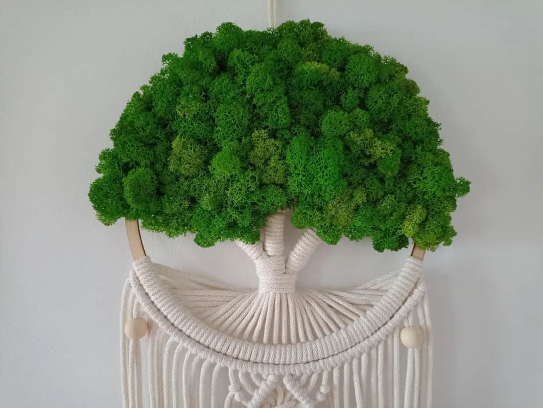 Jak dbać o mech dekoracyjny, aby zachował świeżość i piękno