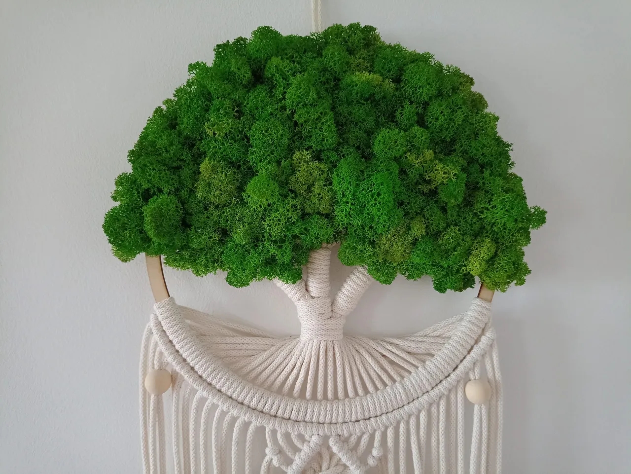 Jak dbać o mech dekoracyjny, aby zachował świeżość i piękno