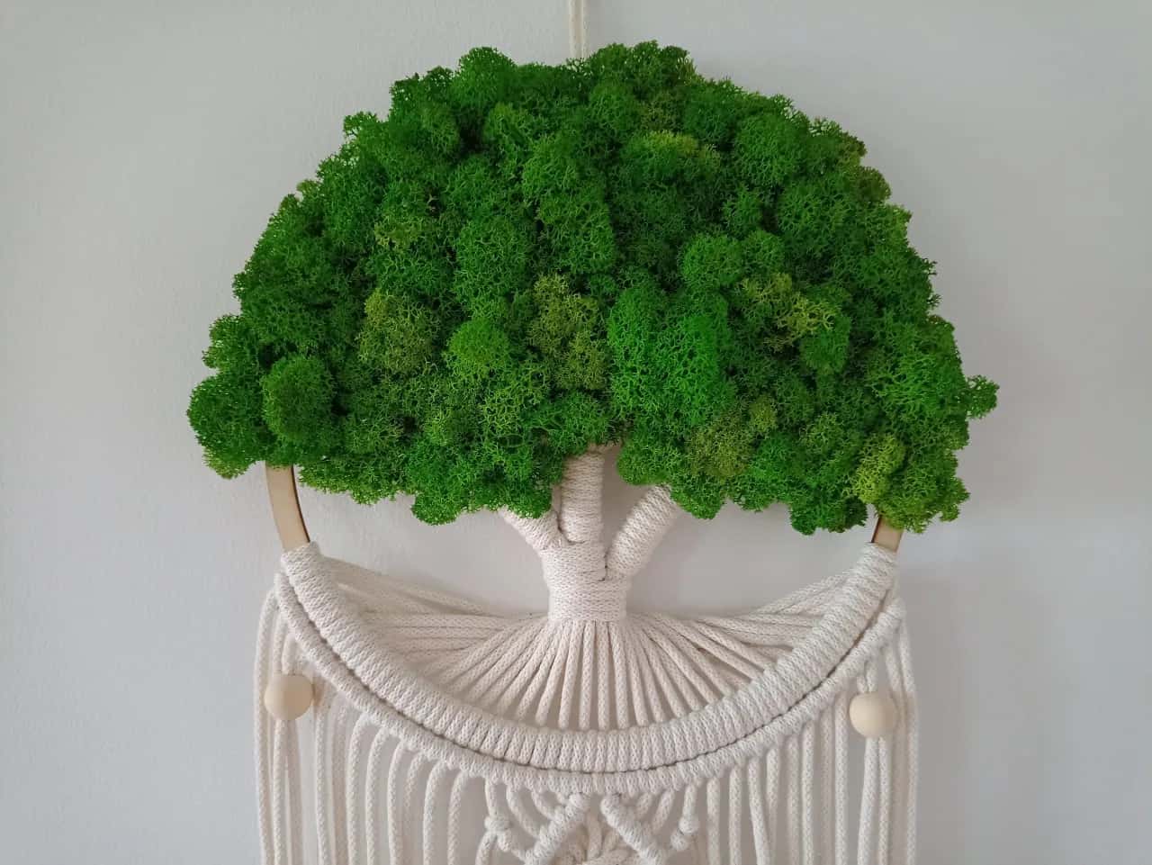 Jak dbać o mech dekoracyjny, aby zachował świeżość i piękno