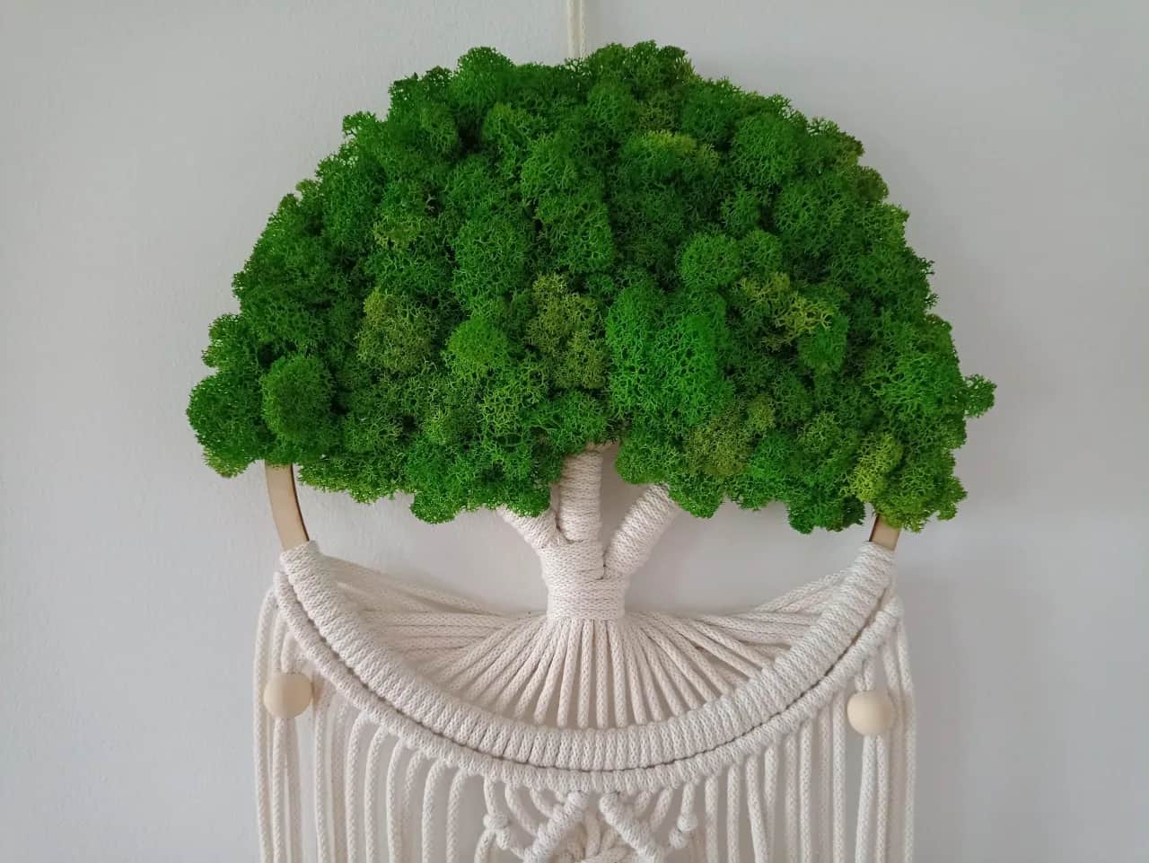 Jak dbać o mech dekoracyjny, aby zachował świeżość i piękno